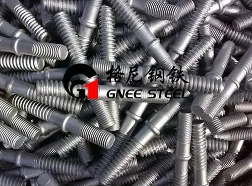 Ακίδα ράγας διπλής κεφαλής